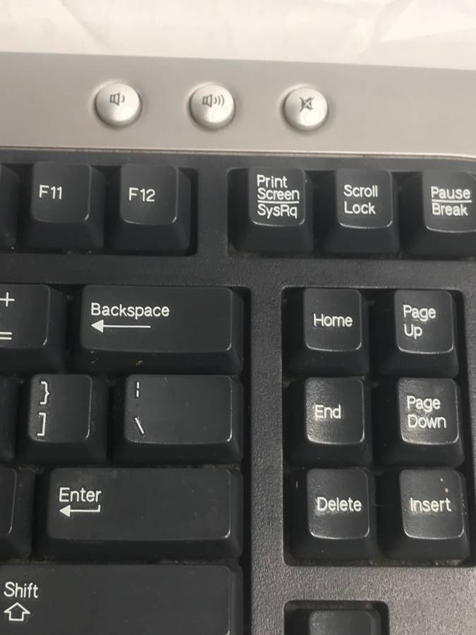 Dell USB Keyboard SK-8125 Two USB Hubs Performance Multimedia Keys