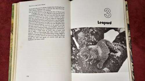 Death In The Long Grass