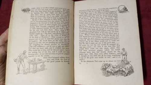 Jock of the Bushveld