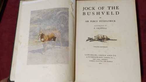 Jock of the Bushveld