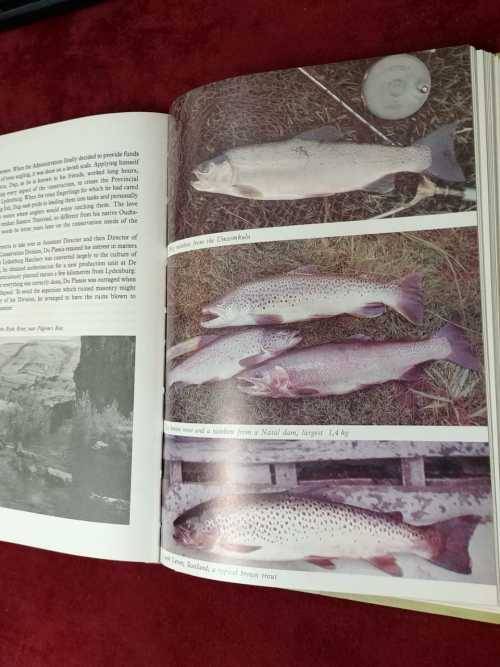 Trout in South Africa