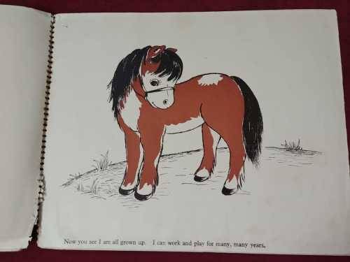 Watch the Pony Grow!