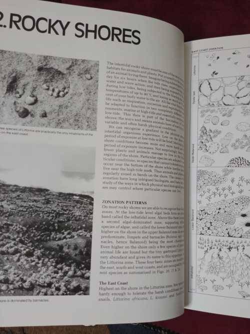 The Living Shores of Southern Africa