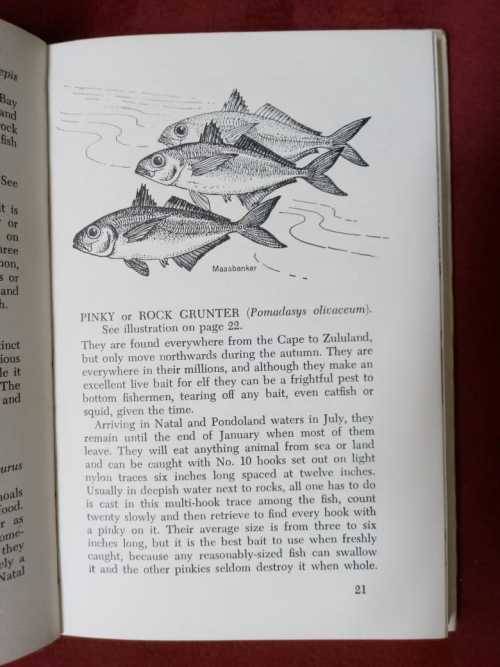 Salt-water Fish and Fishing in Southern Africa (signed copy)