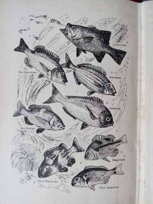 Salt-water Fish and Fishing in Southern Africa (signed copy)
