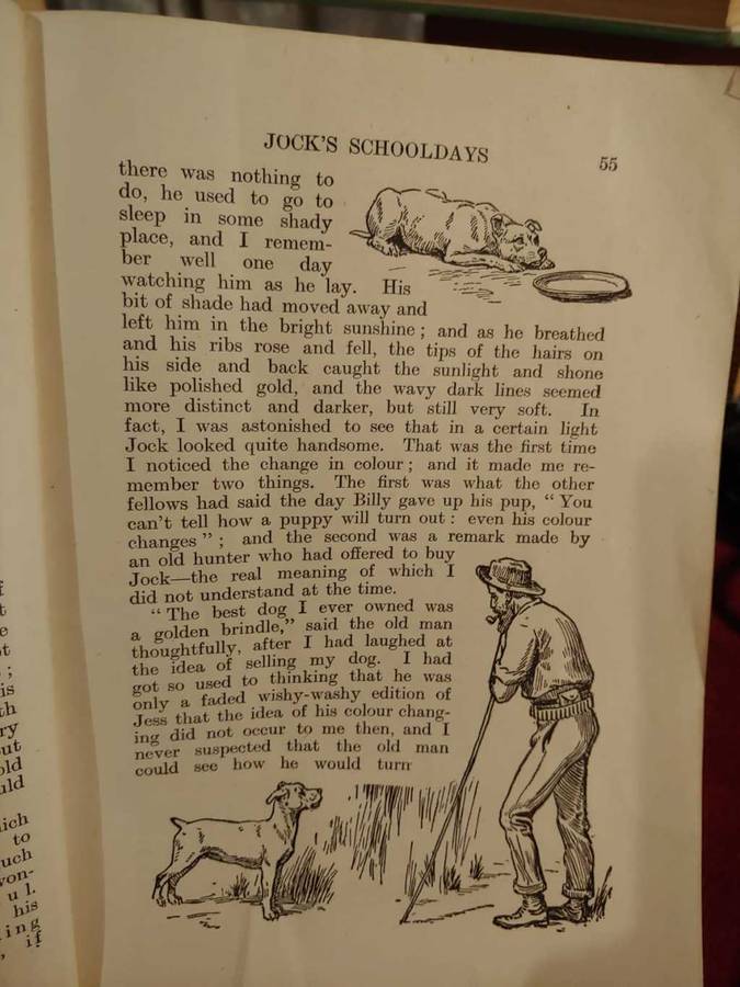 Jock of the Bushveld - 1920 School Edition