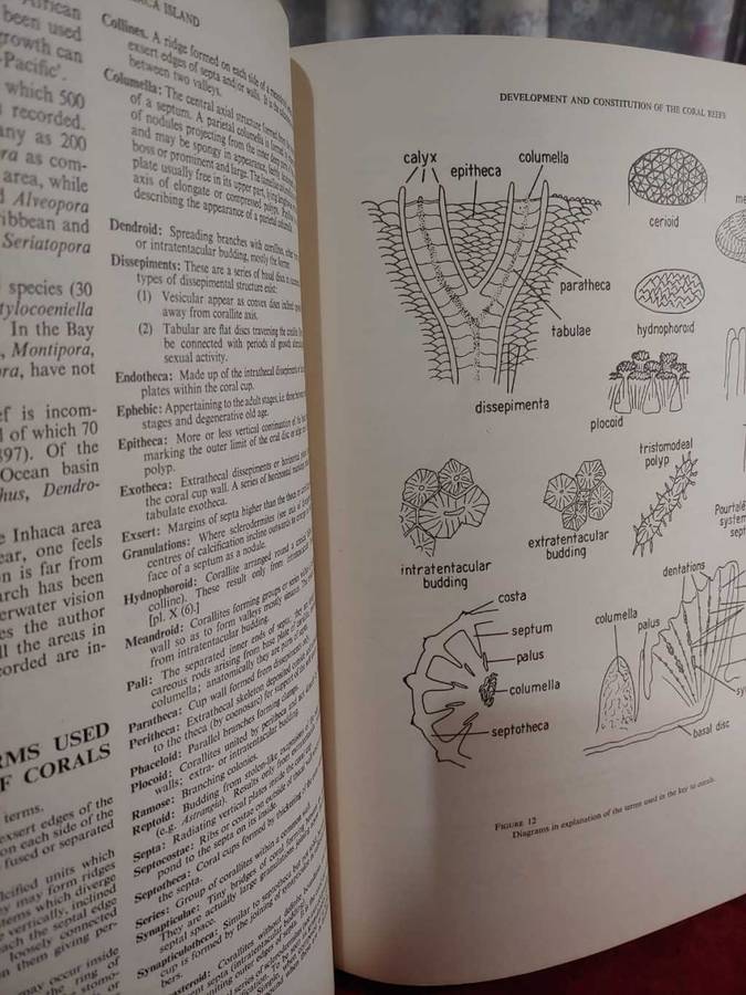 A Natural History of Inhaca Island, Mocambique