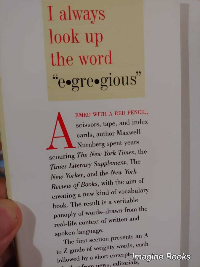 Vocabulary - I Always Look Up The Word Egregious