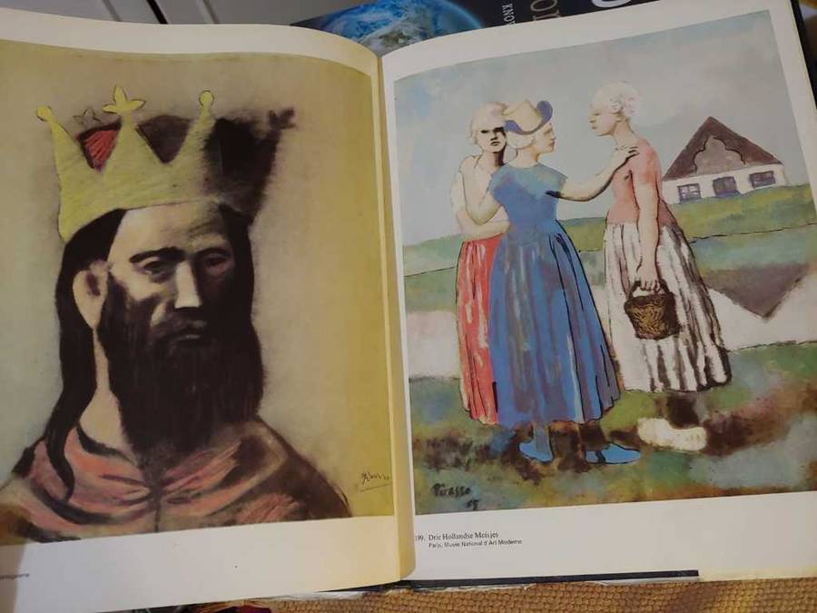 Picasso - Meesters der Schilderkunst