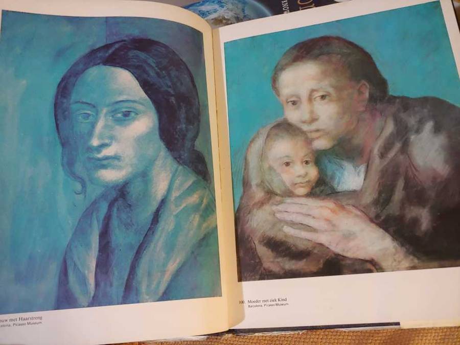 Picasso - Meesters der Schilderkunst