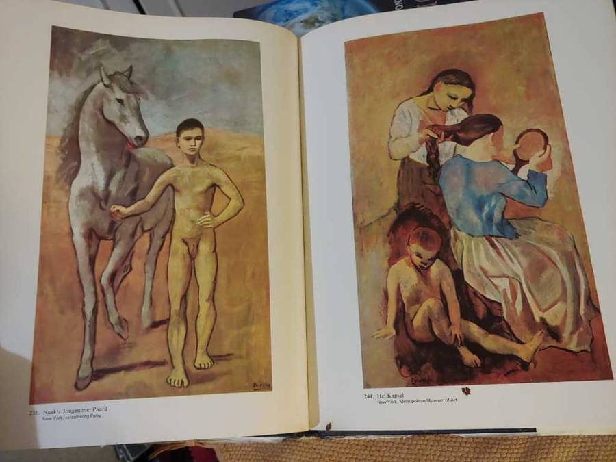 Picasso - Meesters der Schilderkunst
