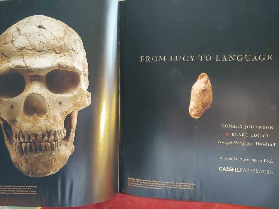 From Lucy To Language - Anthropology