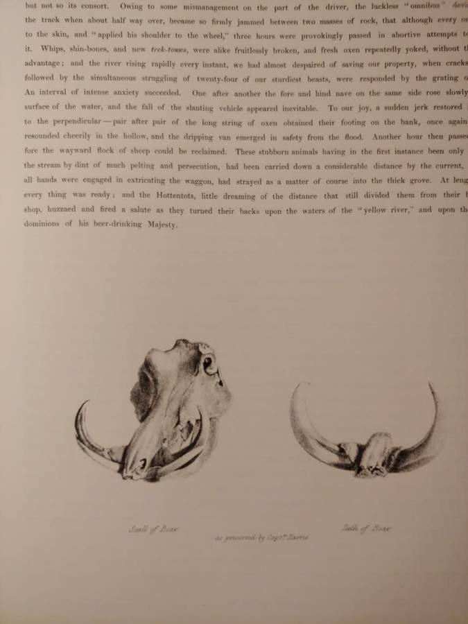 Portraits of the Game and Wild Animals of Southern Africa - Cornwallis Harris
