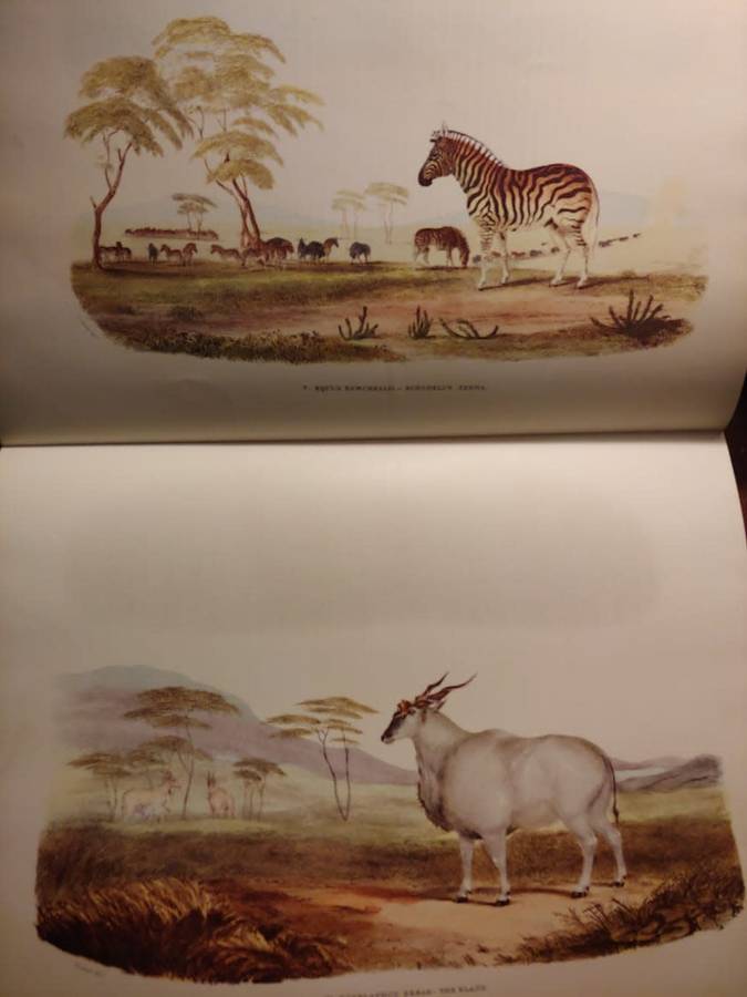 Portraits of the Game and Wild Animals of Southern Africa - Cornwallis Harris