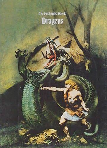 DRAGONS: The Enchanted World