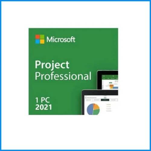 PROJECT PROFESSIONAL 2021