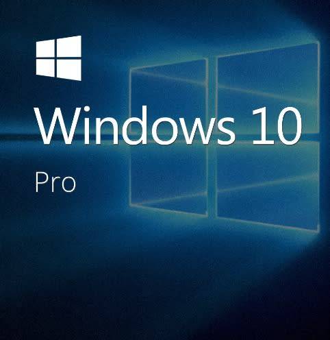 Windows 10 Professional