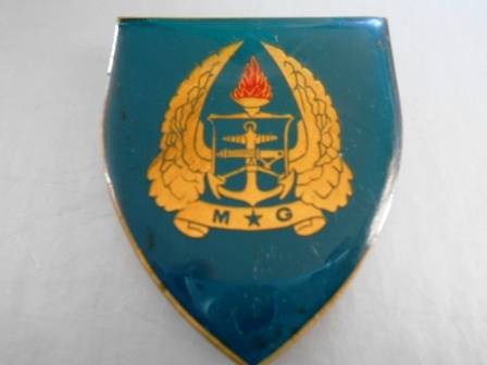 army Gymnasium Shoulder Flash