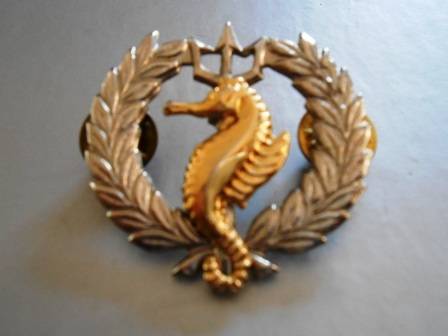 SA Navy Rescue Air & Sea Flotilla Qualification Badge