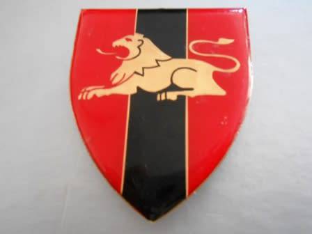 Eastern Transvaal Command Provost Unit Shoulder Flash