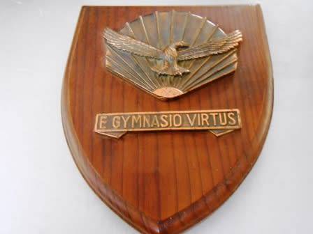 SAAF Gymnasium Plaque