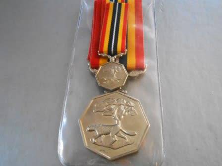 Southern Africa Medal Set (Full size and miniature)
