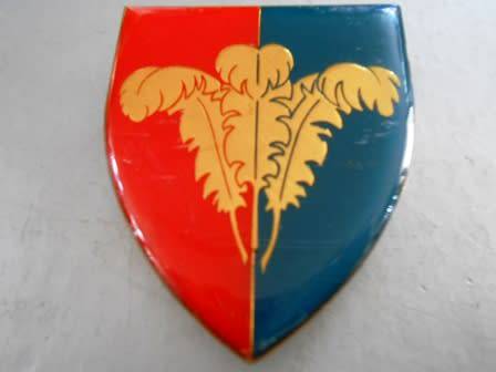Southern Cape Command Workshop Shoulder Flash
