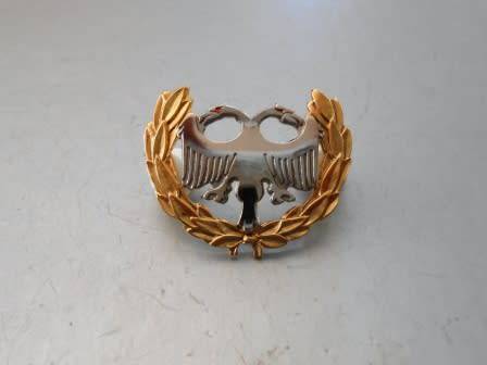S.A.A.F Security/Protection Bi-metal Breast Badge.