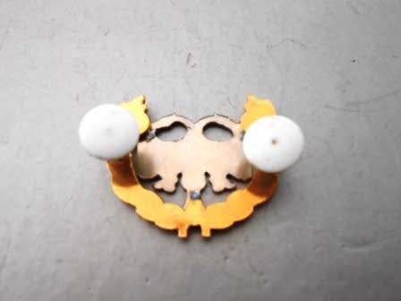 S.A.A.F Security/Protection Bi-metal Breast Badge.