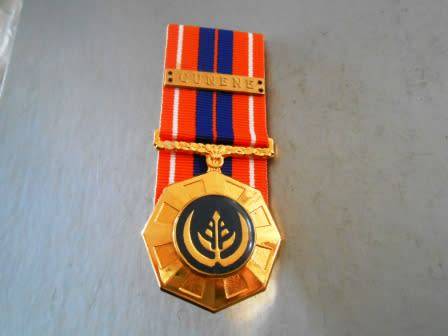 Pro Patria Court Mounted "Full Size Medal"