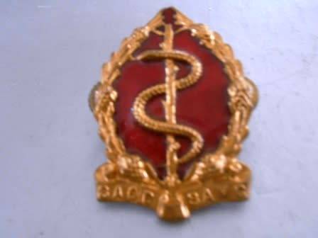 Medical Corps Cap / Beret Badge
