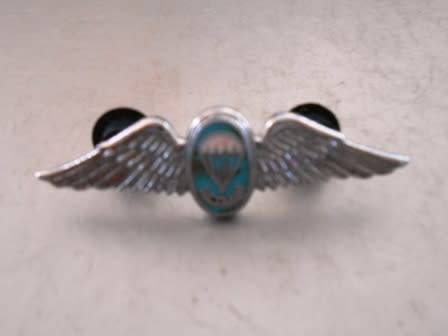 SA Para Instructor Qualification Wing *** Miniature Size ***