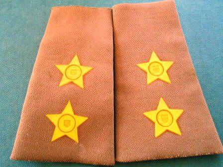 Set of SADF Lt Ranks