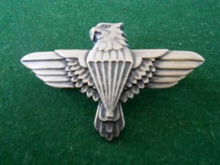 44 Para Brigade Beret Badge *** Both Pins Intact ***