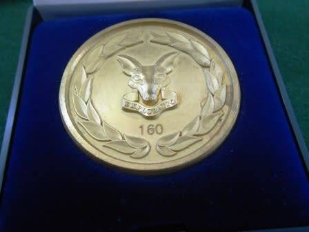SA Intelligence School Medallion