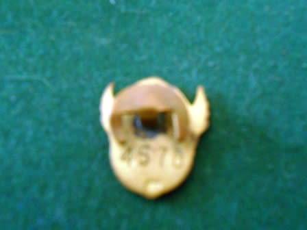 SAR and H Lapel Badge
