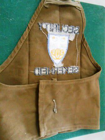 SAAF Security Arm Brassard