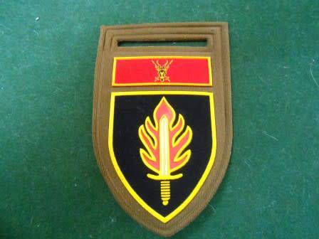 11 Commando / Intelligence School Shoulder Nutria Flash