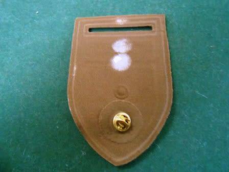 11 Commando / Intelligence School Shoulder Nutria Flash