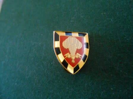 1 South African Infantry Battalion Cravat Pin