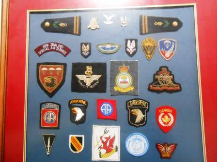 Set of Parachute Wings & Badges