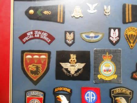 Set of Parachute Wings & Badges