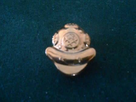 SA NAVY NON CAREER DIVER