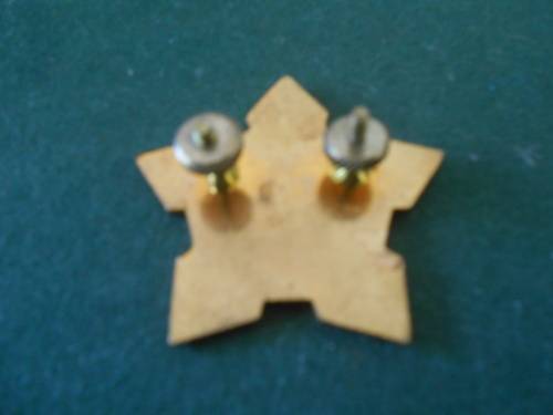 Army Ceremonial Cap Badge