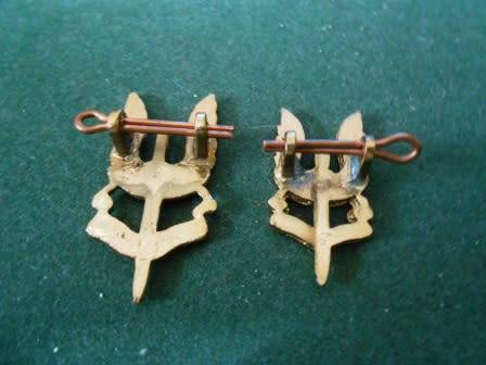 Early SAS Badges *** Note Flat Lugs *** ( Not sure if Rhodesian But were in a T Forbes Jewelrs Box )