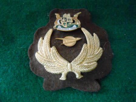Transnet Cap Badge