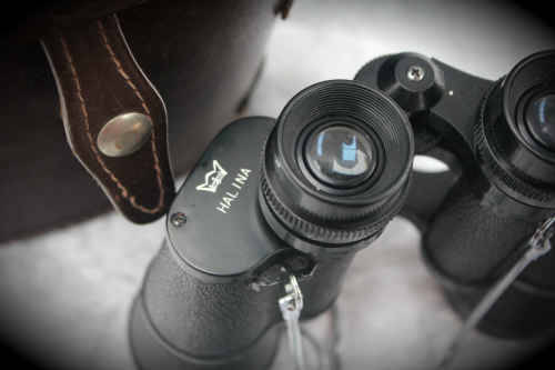 Vintage Halina 7 x 35 coated optics Binoculars with case - no scratches on  lenses