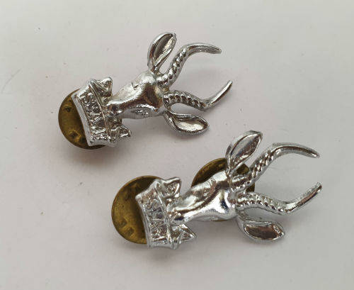 2 SADF  INFANTRY BERET BADGEs (SPRINGBOK)31x21mm