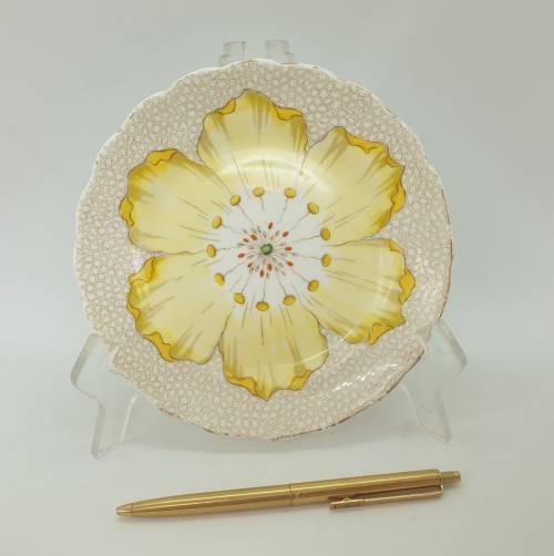 Vintage TUSCAN Fine English Bone China Plate 162mm (Gold Rim Faded)