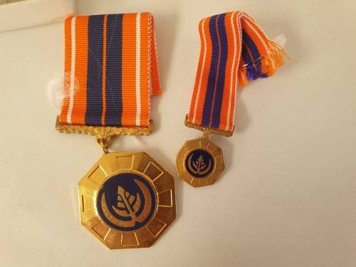 Large and Small Pro Patria Medals with ribbons South African Defence Force (SADF) number 86366